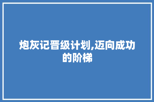 炮灰记晋级计划,迈向成功的阶梯 商业文稿