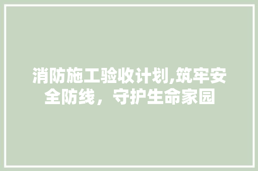 消防施工验收计划,筑牢安全防线，守护生命家园