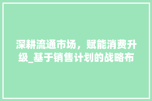 深耕流通市场，赋能消费升级_基于销售计划的战略布局 商业文稿
