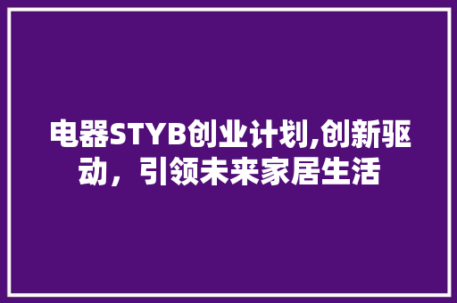 电器STYB创业计划,创新驱动，引领未来家居生活