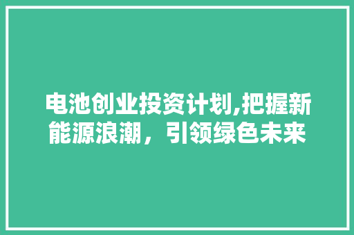 电池创业投资计划,把握新能源浪潮，引领绿色未来