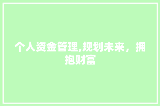 个人资金管理,规划未来，拥抱财富