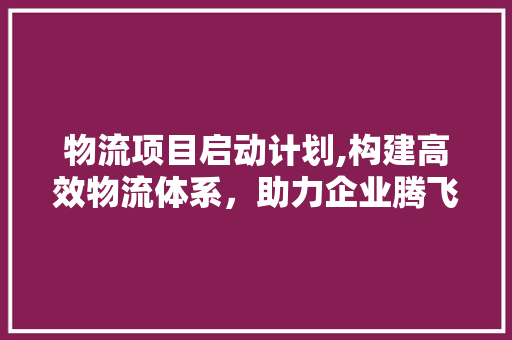 物流项目启动计划,构建高效物流体系，助力企业腾飞