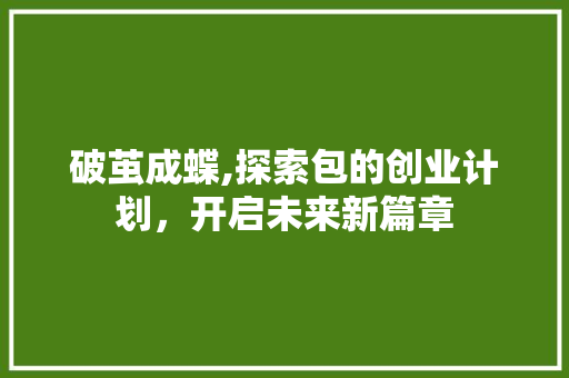 破茧成蝶,探索包的创业计划，开启未来新篇章