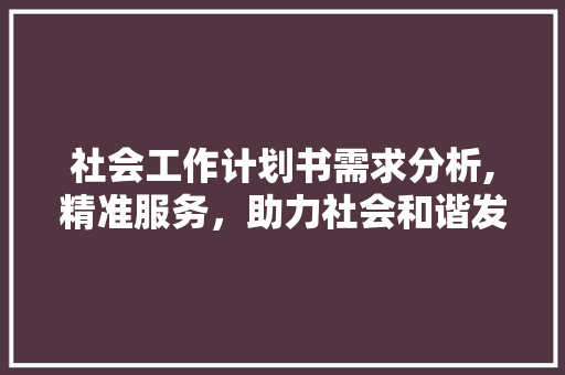 社会工作计划书需求分析,精准服务，助力社会和谐发展