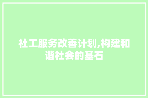 社工服务改善计划,构建和谐社会的基石