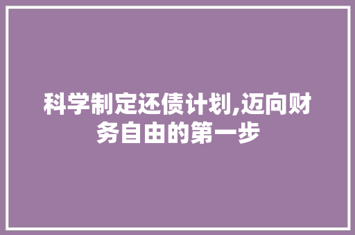 科学制定还债计划,迈向财务自由的第一步