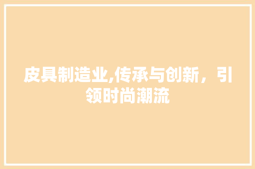 皮具制造业,传承与创新，引领时尚潮流 工作报告
