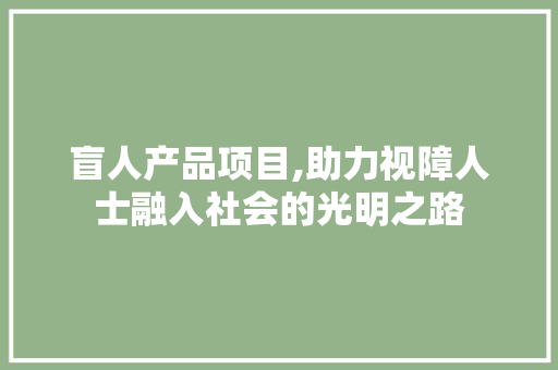 盲人产品项目,助力视障人士融入社会的光明之路 工作类