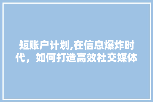 短账户计划,在信息爆炸时代，如何打造高效社交媒体步骤 生活感悟