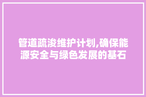 管道疏浚维护计划,确保能源安全与绿色发展的基石 工作报告