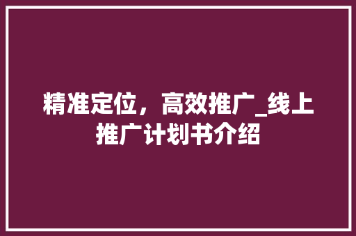 精准定位，高效推广_线上推广计划书介绍