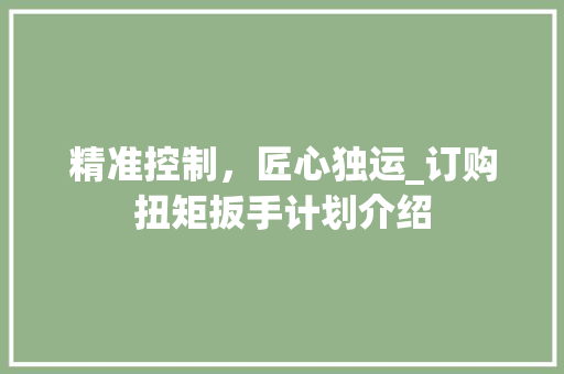 精准控制，匠心独运_订购扭矩扳手计划介绍 生活随笔