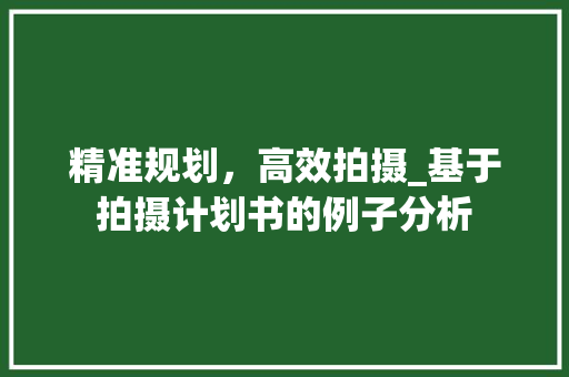 精准规划，高效拍摄_基于拍摄计划书的例子分析