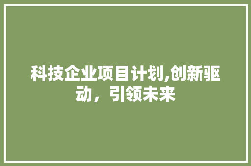 科技企业项目计划,创新驱动，引领未来 生活感悟