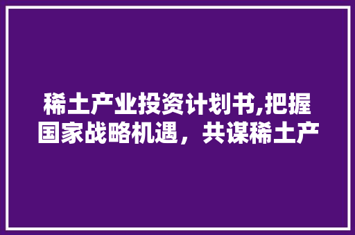 稀土产业投资计划书,把握国家战略机遇，共谋稀土产业发展新篇章