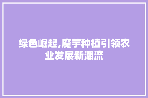 绿色崛起,魔芋种植引领农业发展新潮流