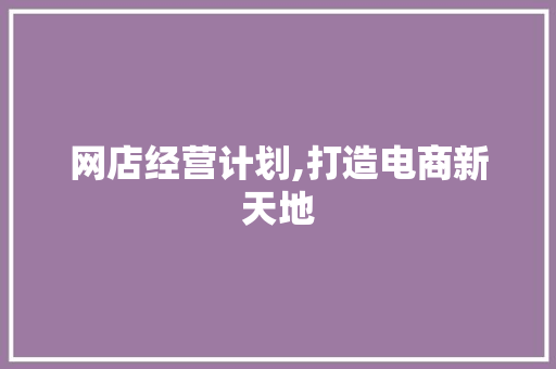网店经营计划,打造电商新天地