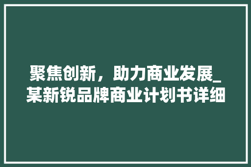 聚焦创新，助力商业发展_某新锐品牌商业计划书详细介绍 生活类