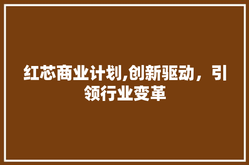 红芯商业计划,创新驱动，引领行业变革