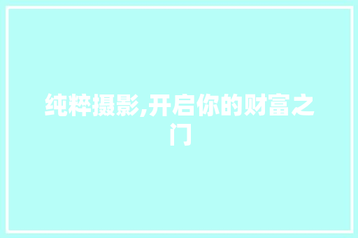 纯粹摄影,开启你的财富之门 特写稿