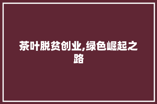 茶叶脱贫创业,绿色崛起之路