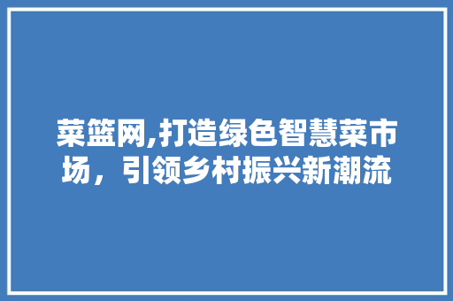 菜篮网,打造绿色智慧菜市场，引领乡村振兴新潮流 特写稿