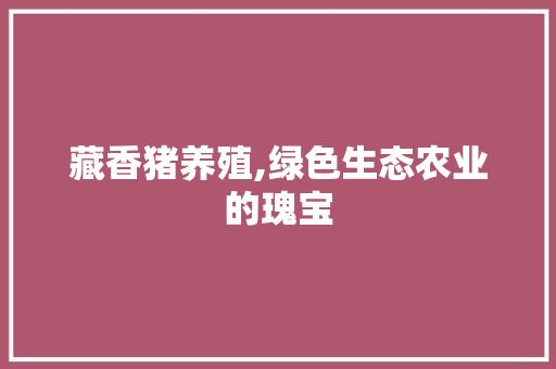 藏香猪养殖,绿色生态农业的瑰宝