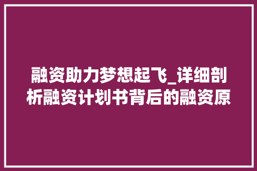 融资助力梦想起飞_详细剖析融资计划书背后的融资原因