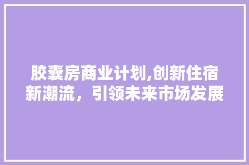 胶囊房商业计划,创新住宿新潮流，引领未来市场发展 工作报告