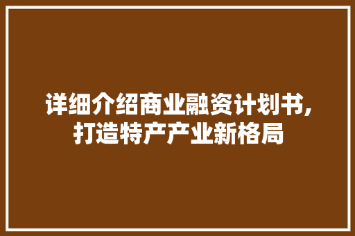 详细介绍商业融资计划书,打造特产产业新格局