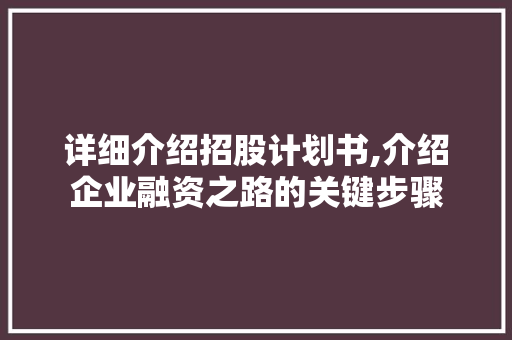 详细介绍招股计划书,介绍企业融资之路的关键步骤