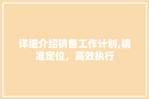 详细介绍销售工作计划,精准定位，高效执行