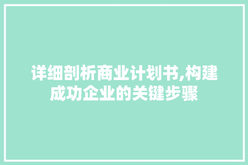 详细剖析商业计划书,构建成功企业的关键步骤