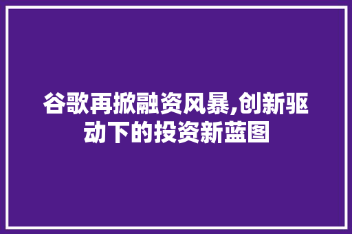 谷歌再掀融资风暴,创新驱动下的投资新蓝图