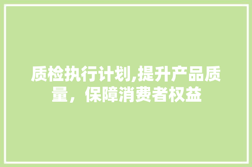 质检执行计划,提升产品质量，保障消费者权益 工作报告