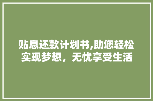 贴息还款计划书,助您轻松实现梦想，无忧享受生活