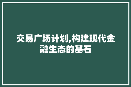 交易广场计划,构建现代金融生态的基石