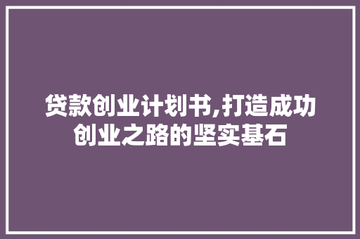 贷款创业计划书,打造成功创业之路的坚实基石