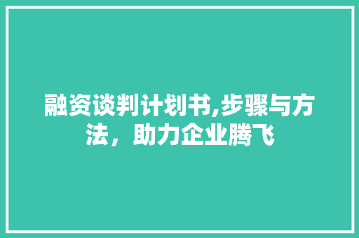 融资谈判计划书,步骤与方法，助力企业腾飞