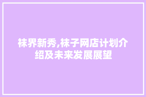 袜界新秀,袜子网店计划介绍及未来发展展望 生活随笔
