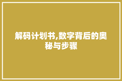 解码计划书,数字背后的奥秘与步骤 特写稿