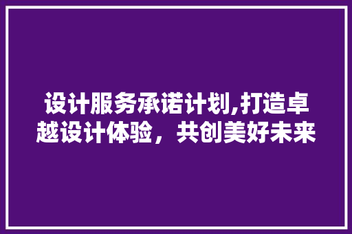 设计服务承诺计划,打造卓越设计体验，共创美好未来