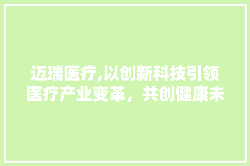 迈瑞医疗,以创新科技引领医疗产业变革，共创健康未来