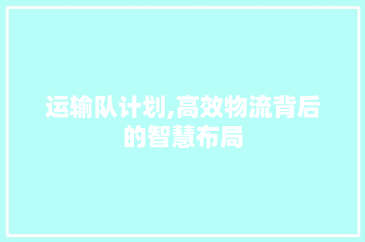 运输队计划,高效物流背后的智慧布局