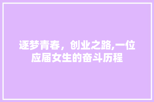 逐梦青春，创业之路,一位应届女生的奋斗历程