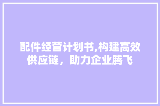 配件经营计划书,构建高效供应链，助力企业腾飞