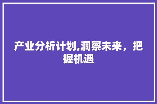 产业分析计划,洞察未来，把握机遇