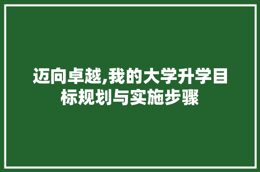 迈向卓越,我的大学升学目标规划与实施步骤