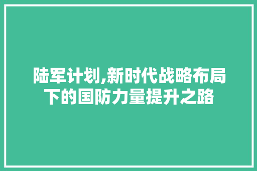 陆军计划,新时代战略布局下的国防力量提升之路